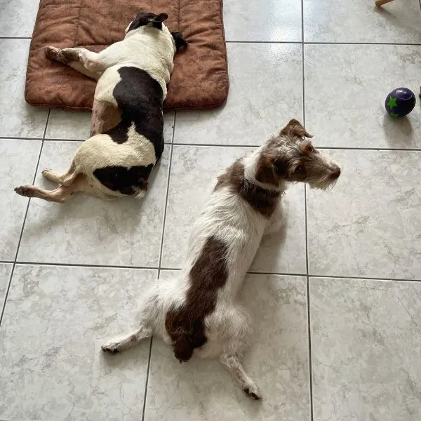 Nacho y Mila, huésped de Llana